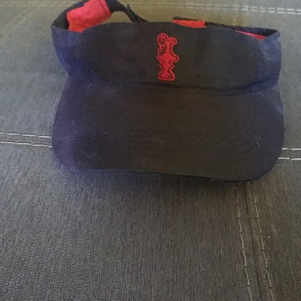 Visor